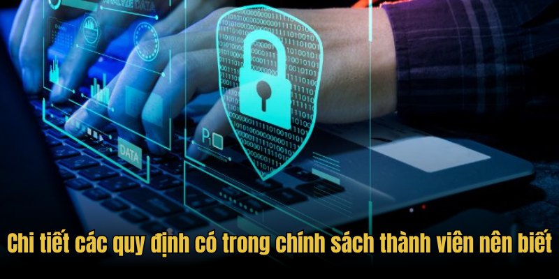 Chi tiết các quy định có trong chính sách thành viên nên biết