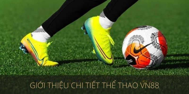 Giới thiệu chi tiết thể thao vn88